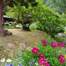 그리운 계곡 펜션 이미지