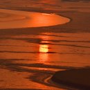 순천만풍경 이미지