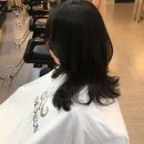 컷컷트