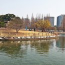 일산호수공원 이미지