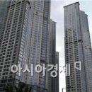 강남-277 이미지