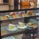 (주)상현무역 | 알리투고스타커피 상현역점 커피맛집 김정화 배우님 카페