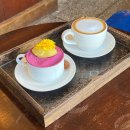 문화사 | 수유카페 고구마 티라미수 맛있는 커피문화사 내돈내산 후기