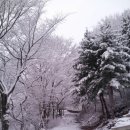 가리산길 이미지