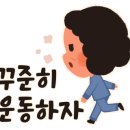 양지테니스장 이미지