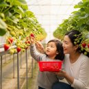 대세2농장 이미지