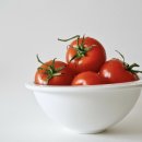 스테비아포레스트