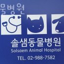 솔샘동물병원
