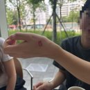 초원세차장 | 양떼를 몰고 초원을 달리던 바람의 속도를 잊고