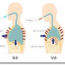 부평필라테스벨라핏 이미지