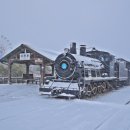 기차마을 이미지