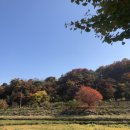 탁구 4반 | 교생실습 3주차👩‍🏫