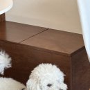 사랑방카페 이미지