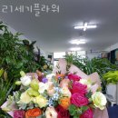 ２１세기플라워