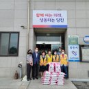 우두3통 이미지