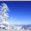 12월25일,26일(토,일)덕유산 눈꽃산행 이미지