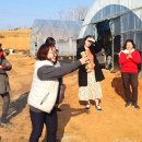 빛고을농장 이미지