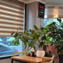 차이나홀릭 | [ 유천동맛집 차이나홀릭 대전 짬뽕 맛집 ]