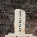 천강무역 | 왜관으로 간 아이들 - 가깝고도 먼 나라 일본, 시간여행으로 일본 에도시대 쓰시마 고려마을에 간 아이