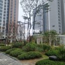 와우공인중개사사무소 이미지