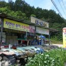 봉화명호송이