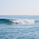 강문바다 이미지