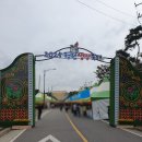 동춘농장 | 오늘 개막! 청원생명축제 2025 첫날 다녀온 솔직 후기 + 사진 대공개