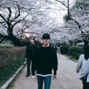 진영 Daum카페