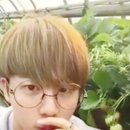 석진농장 이미지