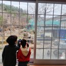 청마루농장 이미지