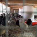 청계유통 이미지