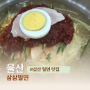 삼삼밀면 | 울산 달동 맛집 밀면 삼삼밀면 점심 솔직후기