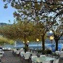 노이하우스 이미지