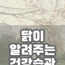 오오점핑 이미지