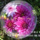 언제나봄 이미지