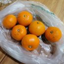 와이석정웰마트 이미지