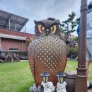 중앙탑펜션 이미지