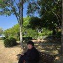 이현공원🌳 샤스타데이지🌼 보고왔어요! 이미지