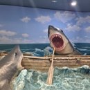 오션 아레나 이미지