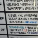 와이엔씨