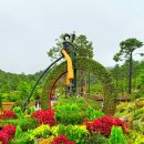 송화카서비스 | 강화도 교동 갈만한곳 10월 서울 근교 여행 BEST 4