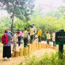 유아동네숲터 이미지