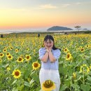 난정낚시터 이미지