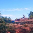 다복농장 이미지