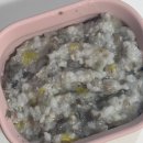 278 | 후기이유식) 278-279일차 분이분이분