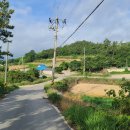 춘정농장 Daum카페