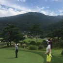 파인어패럴 이미지