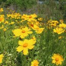 장매마을 이미지