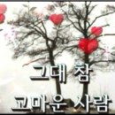 여인향기