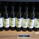 파파야컴퍼니 네이버블로그